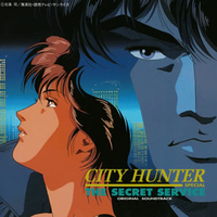 City hunter special: the secret service - VARIOUS