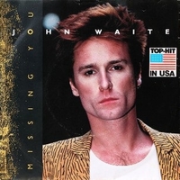 Missing you \ For your love - JOHN WAITE