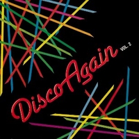 Disco again vol.2 - VARIOUS