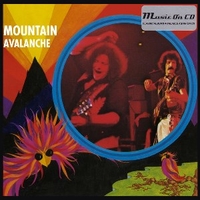 Avalanche - MOUNTAIN