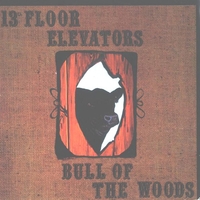 Bull of the woods - 13TH FLOOR ELEVATORS