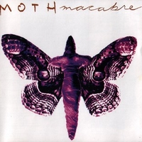Moth macabre - MOTH MACABRE