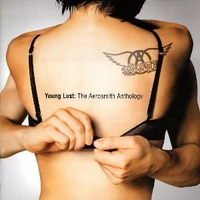 Young lust: the Aerosmith anthology - AEROSMITH