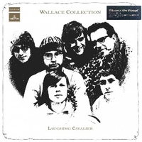 Laughing cavalier - WALLACE COLLECTION