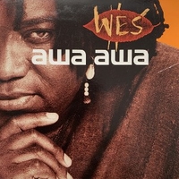 Awa awa (2 tracks) - WES