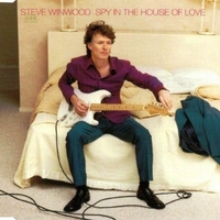 Spy in the house of love (1 track) - STEVE WINWOOD