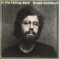 In the falling dark - BRUCE COCKBURN