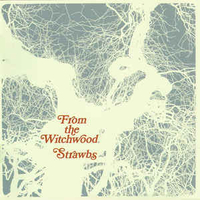 From the witchwood - STRAWBS
