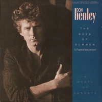 The boys of summer (LP special long version) - DON HENLEY