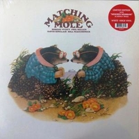 Matching mole - MATCHING MOLE