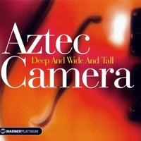 Deep and wide and tall (best of) - AZTEC CAMERA