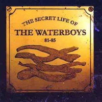 The secret life of Waterboys 81/85 - WATERBOYS