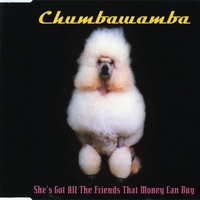 She’s got all the friends that money can buy (4 tracks) - CHUMBAWAMBA