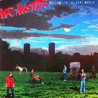 Welcome to the real world - Mr.MISTER