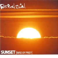 Sunset (bird of prey) (4 tracks) - FATBOY SLIM