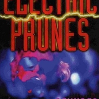 Rewired - ELECTRIC PRUNES