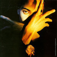 Neither fish or flesh - TERENCE TRENT D'ARBY