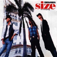 Size isn't everything - BEE GEES
