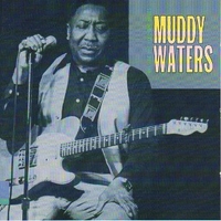 King of the electric blues - MUDDY WATERS