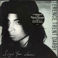 Sign your name (4 tracks) - TERENCE TRENT D'ARBY