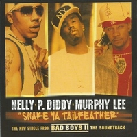 Shake ya tailfeather (2 vers.) - NELLY \ P.DIDDY \ LEE MURPHY