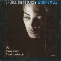 Wishing well (three coins in a fountain mix) - TERENCE TRENT D'ARBY