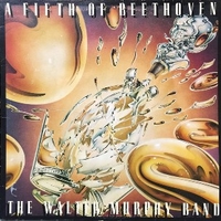 A fifth of Beethoven - WALTER MURPHY BAND