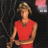After dark - ANDY GIBB