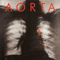 Aorta - AORTA