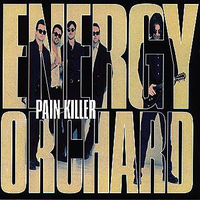 Pain killer - ENERGY ORCHARD