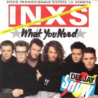 What you need \ Kiss the dirt - INXS
