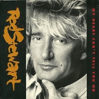 My heart can't tell you no \ The wild horse - ROD STEWART