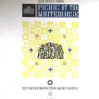 We need protection (screamix) - PICNIC AT THE WHITEHOUSE