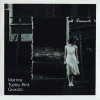 Quixotic - MARTINA TOPLEY-BIRD
