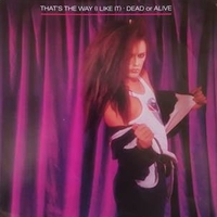 That's the way (I like it) \ Do it - DEAD OR ALIVE