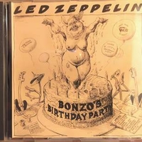 Bonzo's birthday party - LED ZEPPELIN